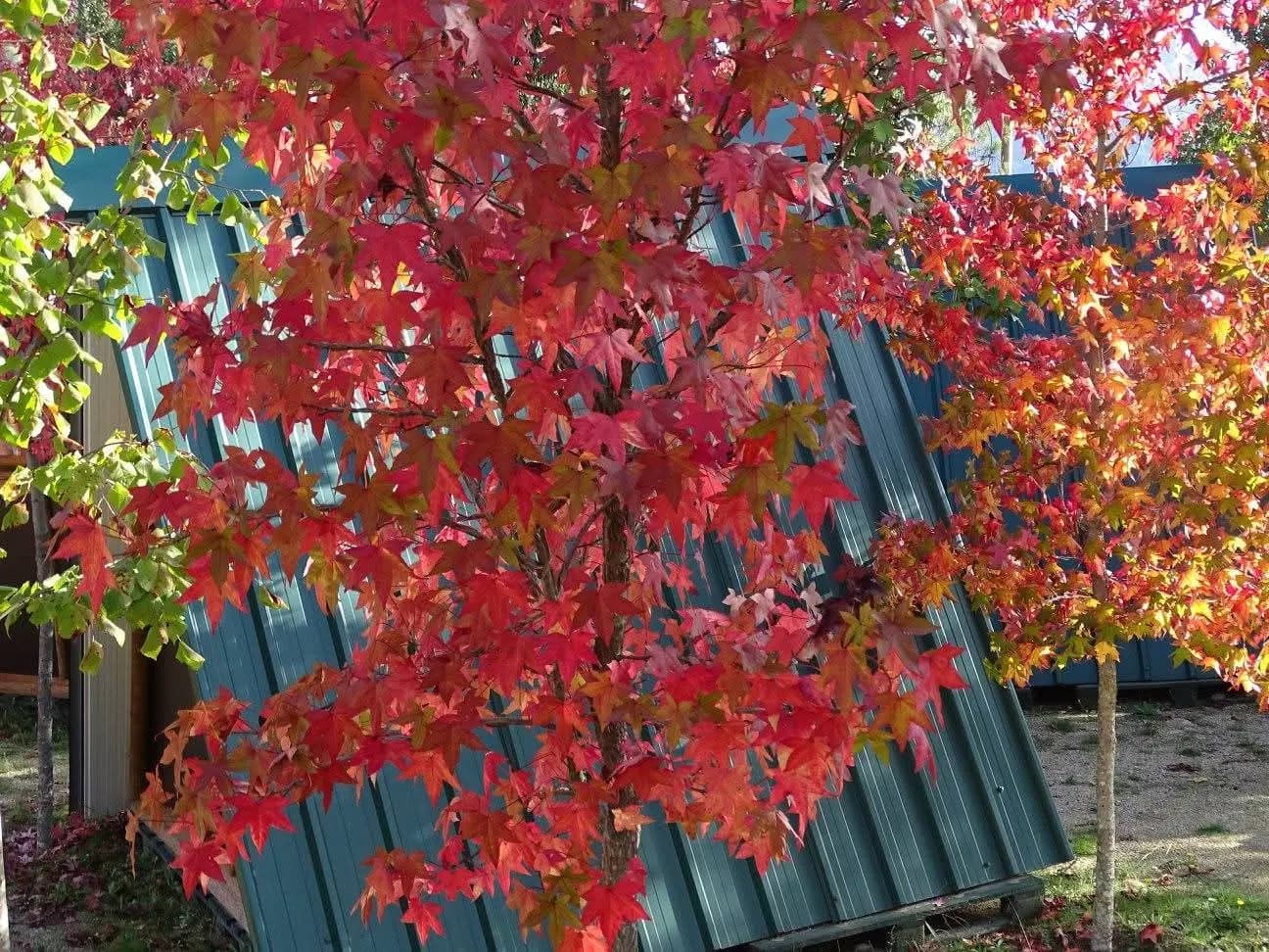 Ermida Gerês Camping - Thumbnail 4